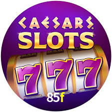 Programa VIP 85f